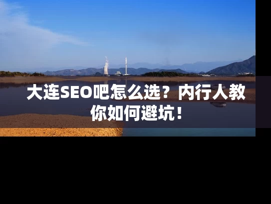 大连SEO吧怎么选？内行人教你如何避坑！