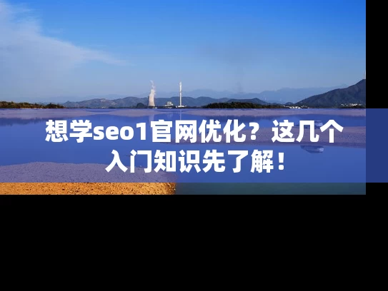 想学seo1官网优化？这几个入门知识先了解！
