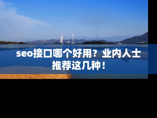 seo接口哪个好用？业内人士推荐这几种！
