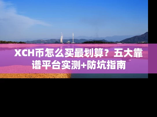 XCH币怎么买最划算？五大靠谱平台实测+防坑指南