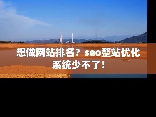 想做网站排名？seo整站优化系统少不了！