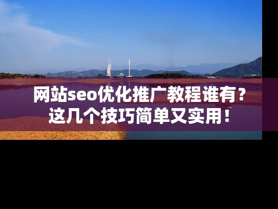 网站seo优化推广教程谁有？这几个技巧简单又实用！