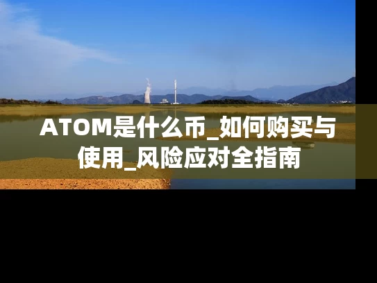 ATOM是什么币_如何购买与使用_风险应对全指南
