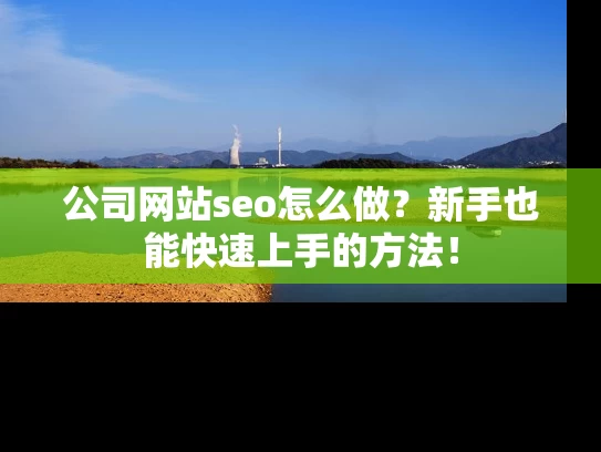 公司网站seo怎么做？新手也能快速上手的方法！