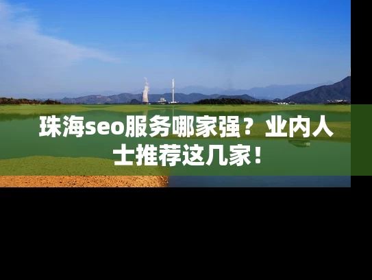 珠海seo服务哪家强？业内人士推荐这几家！