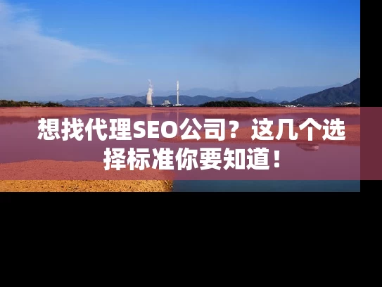 想找代理SEO公司？这几个选择标准你要知道！