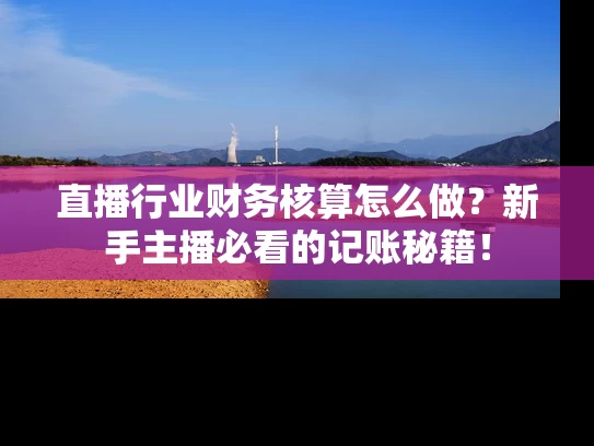 直播行业财务核算怎么做？新手主播必看的记账秘籍！