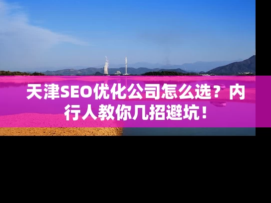 天津SEO优化公司怎么选？内行人教你几招避坑！