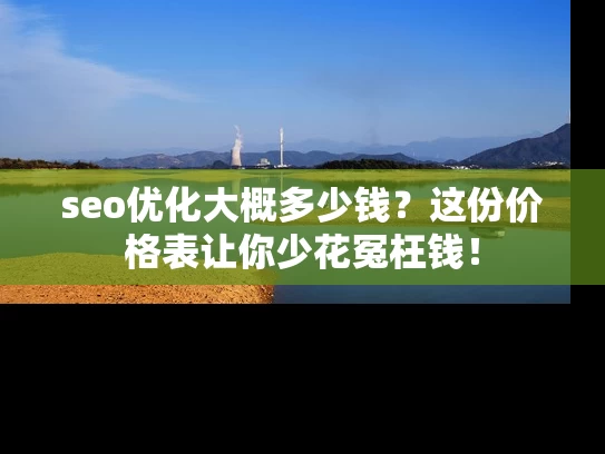 seo优化大概多少钱？这份价格表让你少花冤枉钱！