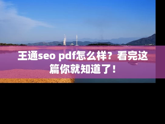 王通seo pdf怎么样？看完这篇你就知道了！