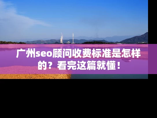 广州seo顾问收费标准是怎样的？看完这篇就懂！