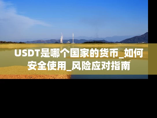 USDT是哪个国家的货币_如何安全使用_风险应对指南