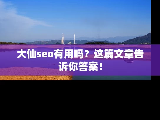 大仙seo有用吗？这篇文章告诉你答案！