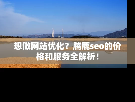 想做网站优化？腾鹿seo的价格和服务全解析！