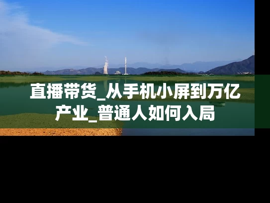 直播带货_从手机小屏到万亿产业_普通人如何入局