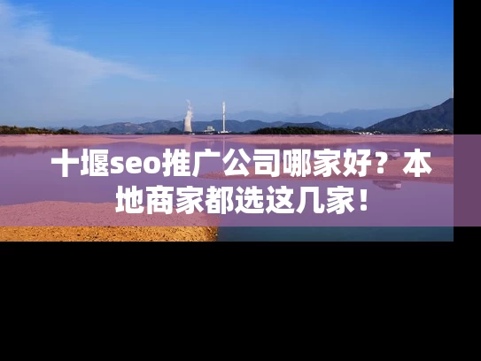 十堰seo推广公司哪家好？本地商家都选这几家！