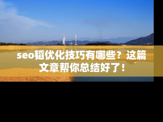 seo韬优化技巧有哪些？这篇文章帮你总结好了！