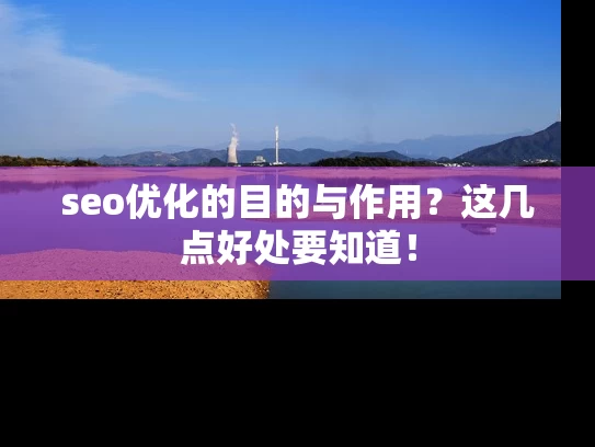 seo优化的目的与作用？这几点好处要知道！