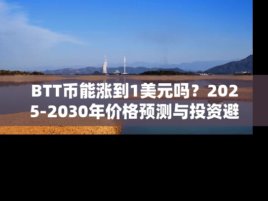 BTT币能涨到1美元吗？2025-2030年价格预测与投资避坑指南