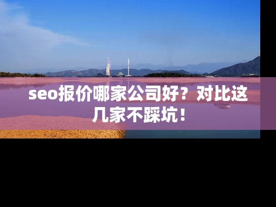 seo报价哪家公司好？对比这几家不踩坑！