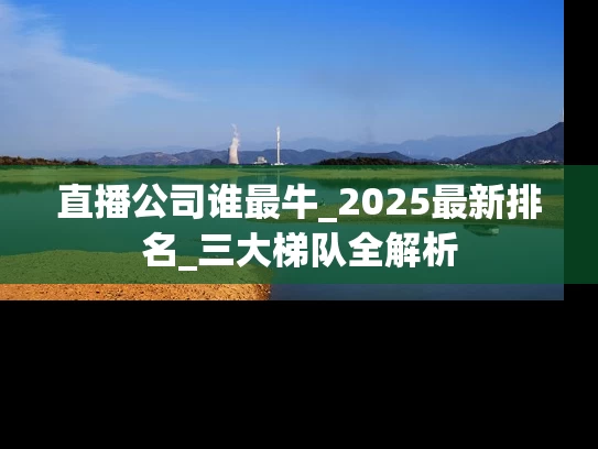 直播公司谁最牛_2025最新排名_三大梯队全解析