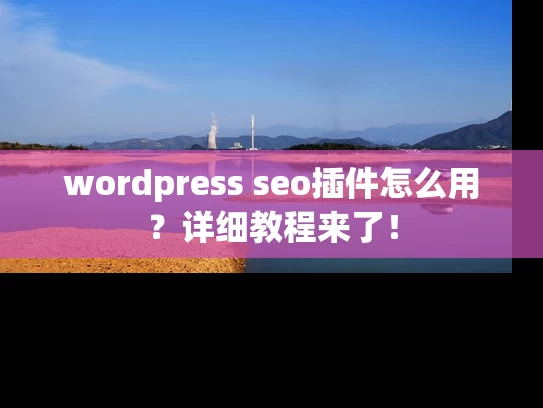 wordpress seo插件怎么用？详细教程来了！