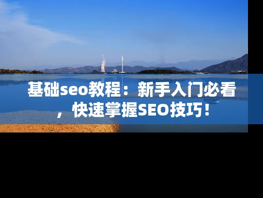 基础seo教程：新手入门必看，快速掌握SEO技巧！