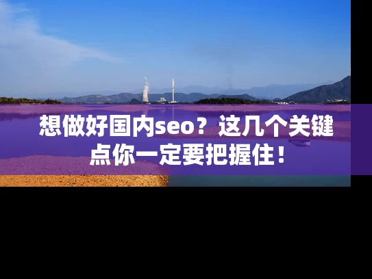 想做好国内seo？这几个关键点你一定要把握住！