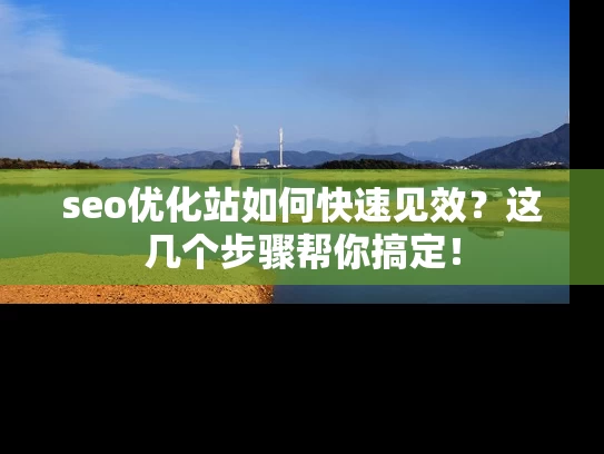 seo优化站如何快速见效？这几个步骤帮你搞定！