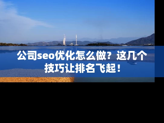 公司seo优化怎么做？这几个技巧让排名飞起！