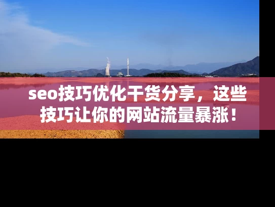 seo技巧优化干货分享，这些技巧让你的网站流量暴涨！