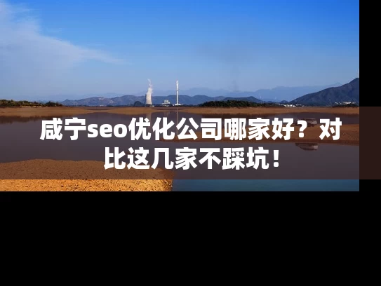 咸宁seo优化公司哪家好？对比这几家不踩坑！