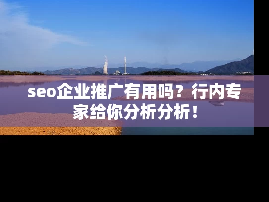 seo企业推广有用吗？行内专家给你分析分析！