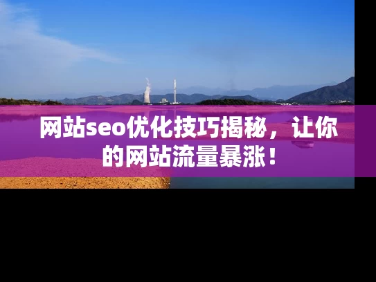 网站seo优化技巧揭秘，让你的网站流量暴涨！
