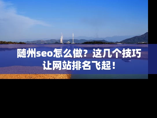 随州seo怎么做？这几个技巧让网站排名飞起！