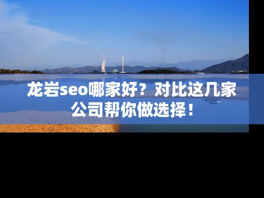 龙岩seo哪家好？对比这几家公司帮你做选择！