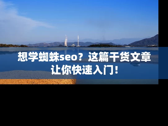 想学蜘蛛seo？这篇干货文章让你快速入门！