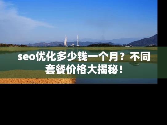 seo优化多少钱一个月？不同套餐价格大揭秘！