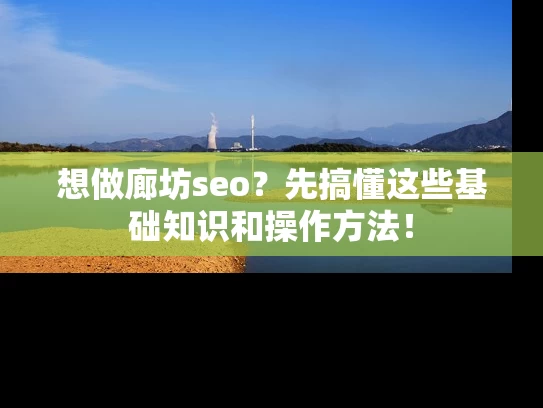 想做廊坊seo？先搞懂这些基础知识和操作方法！
