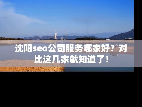 沈阳seo公司服务哪家好？对比这几家就知道了！