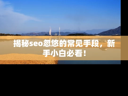 揭秘seo忽悠的常见手段，新手小白必看！