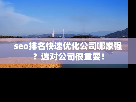 seo排名快速优化公司哪家强？选对公司很重要！
