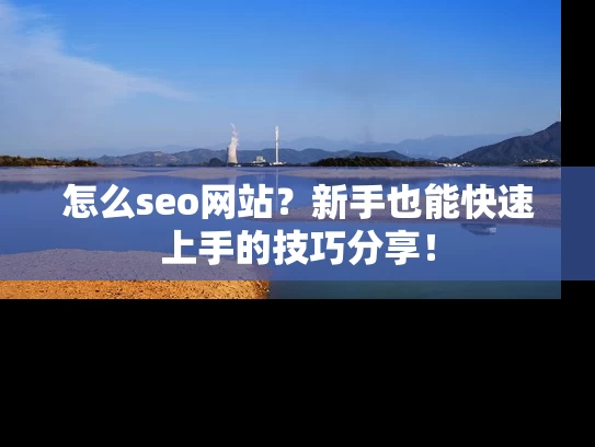 怎么seo网站？新手也能快速上手的技巧分享！