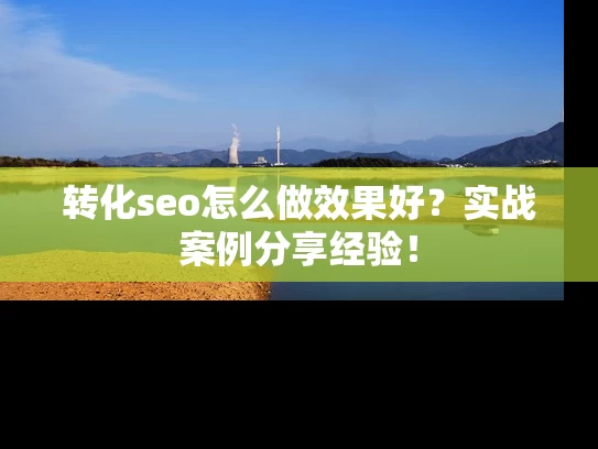 转化seo怎么做效果好？实战案例分享经验！