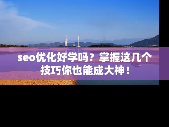 seo优化好学吗？掌握这几个技巧你也能成大神！