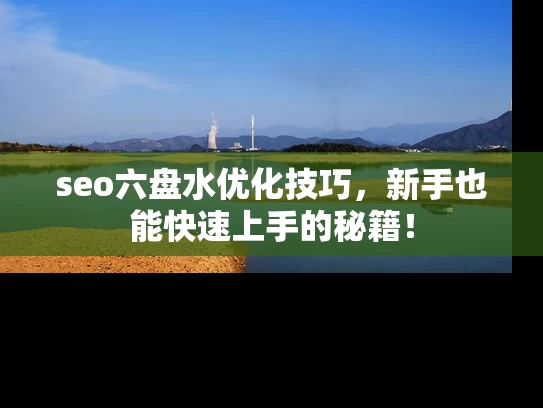 seo六盘水优化技巧，新手也能快速上手的秘籍！