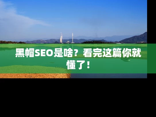 黑帽SEO是啥？看完这篇你就懂了！