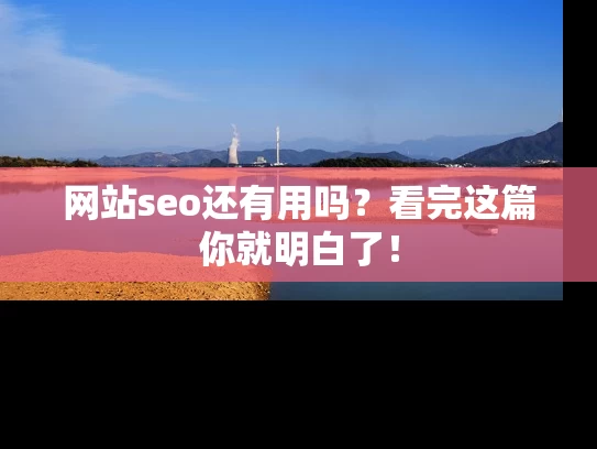 网站seo还有用吗？看完这篇你就明白了！