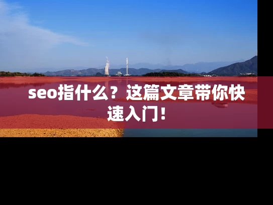 seo指什么？这篇文章带你快速入门！