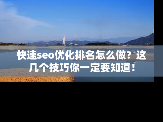 快速seo优化排名怎么做？这几个技巧你一定要知道！